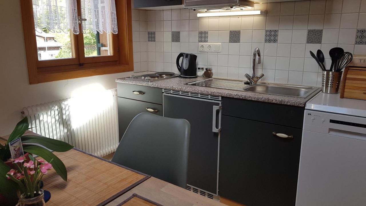 Haus Sabine Apartment Schruns Екстериор снимка